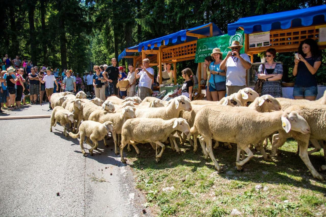 Homestay Kocka Згорнє-Єзерсько Екстер'єр фото